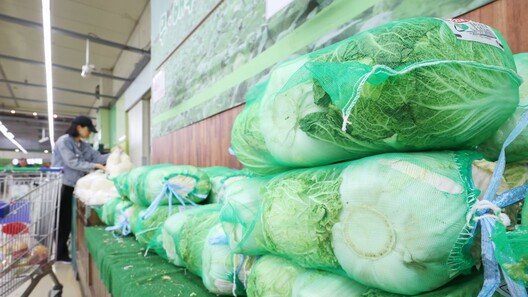 배추 36%·김 19.8% 올랐다… 생산자물가 넉달째 상승