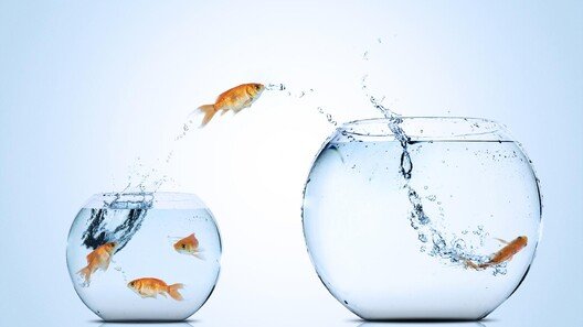 [HBR 인사이트]리더로 승진한 당신에게 전하는 조언, ‘내려놓기’