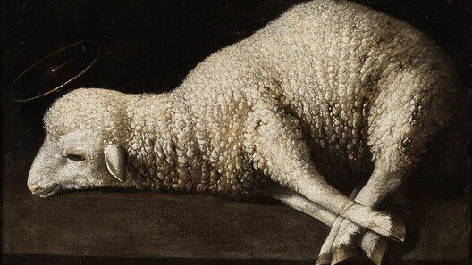 부들거리는 촉감… 세밀한 정물화인듯, 죽음 앞둔 어린양… 경건한 종교화인듯