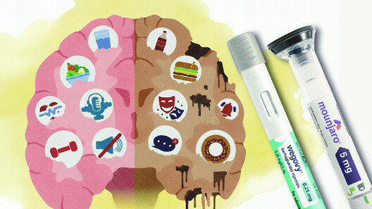 식욕 넘어 도파민 조절까지, 다이어트 주사의 명암[김지용의 마음처방]