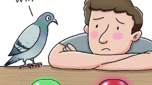 비둘기처럼 생각해야 할 때[서광원의 자연과 삶]〈119〉