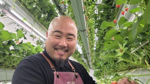 [이헌재의 인생홈런]금메달 감독→‘딸기 농부’ 김형일 “아기처럼 키웁니다”