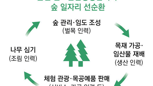 목재 가공-재배-관광… 산림경영 사업 13년 “숲이 평생 직장으로”