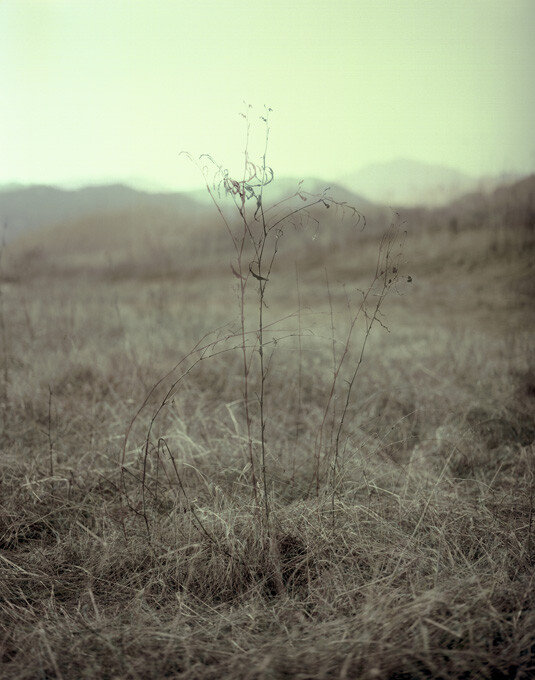 Jaeyeon Kim, A Portrait 02, 2015, Pigment Print, 80x100cm
