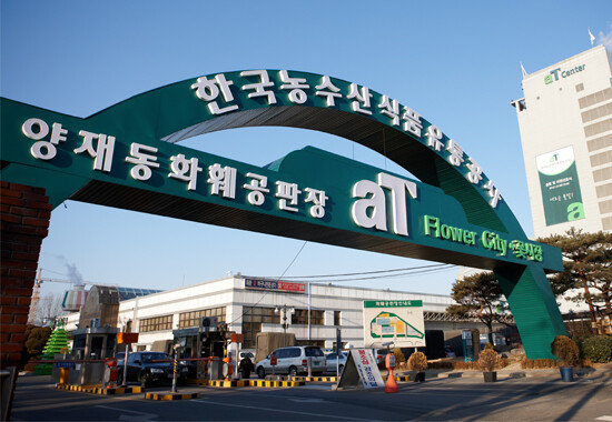 서울 서초구 양재동 한국농수산식품유통공사 내 화훼공판장. [한국농수산식품유통공사]