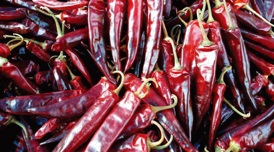 [사진 제공 · 안동시]