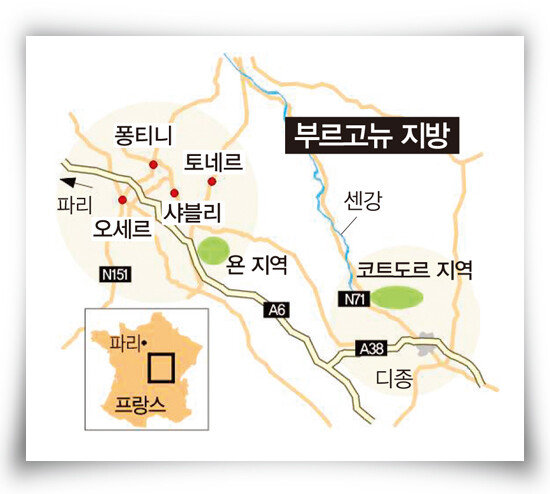 프랑스 부르고뉴의 와인 산지에서는 피노 누아르와 샤르도네를 재배해 고급 와인을 만들고 있다. [동아DB]