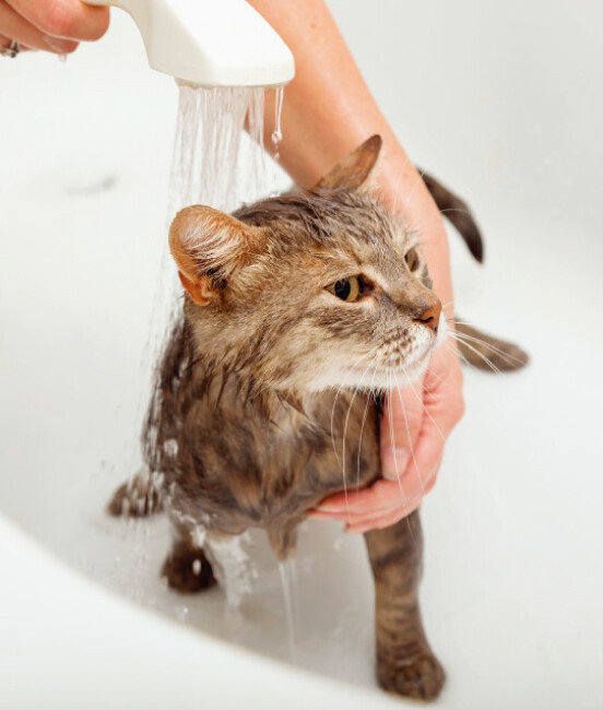 [shutterstock]