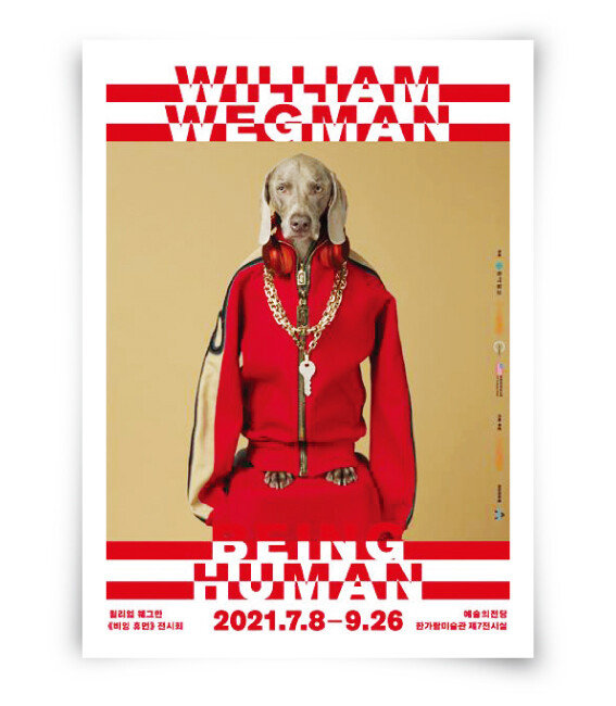 7월 8일~9월 26일 서울 서초구 예술의전당 한가람미술관에서 윌리엄 웨그먼의 ‘BEING
HUMAN 비잉 휴먼’展이 열린다. [동아DB]