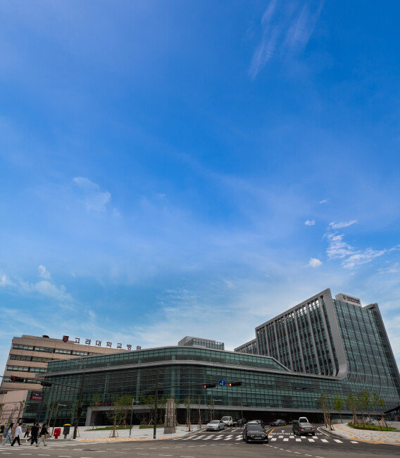 7월 10일 오픈한 고려대안암병원 메디컴플렉스 신관. [조영철 기자]