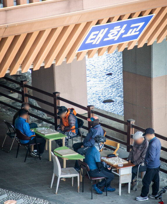 5월 9일 울산 남구 신정동 태화교 아래에서 노인들이 장기를 두고 있다. [박해윤 기자]