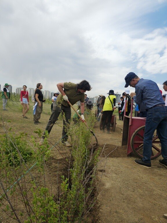 2025 몽골 포럼 참가자들이 6월 23일 울란바토르 IC파크에서 나무를 심고 있다. 글로벌피스재단 제공