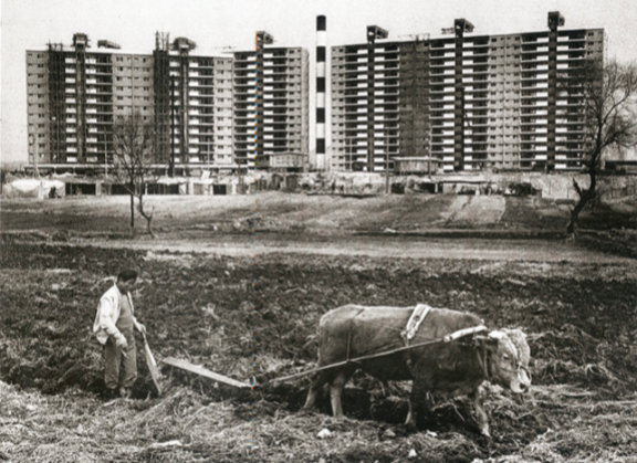 1978년 촬영된 서울 강남구 압구정동 현대아파트 건설 현장. 동아DB