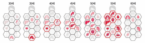 육각형은 장기를, 붉은 윤곽선은 노화 징후를 나타낸다. 40대 후반부터 여러 장기에서 노화가 빠르게 진행되고 55세 전후에는 심장, 폐, 간, 근육, 면역계 등 다양한 계통이 동시에 변화한다. Cell 제공