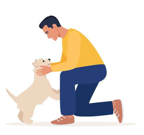 많은 반려견 보호자가 슬개골 탈구 예방을 위해 반려견의 두 발 서기를 저지한다. GETTYIMAGES 