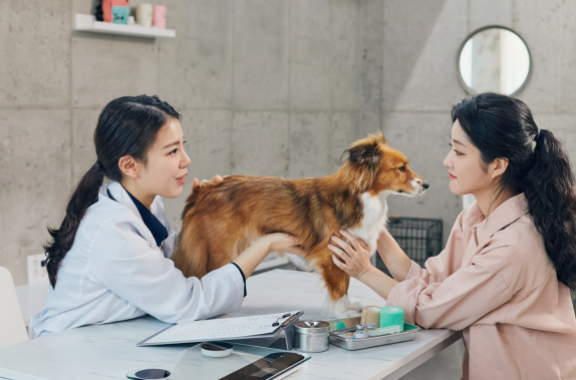동물병원 진료실은 수의사와 보호자가 ‘반려동물 건강’이라는 공동 목표를 이루고자 대화하고 협력하는 장소다. GETTYIMAGES 