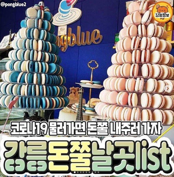 강릉 맛집 정보를 모아 정리한 ‘강릉 돈쭐 날 곳’ 게시물. MZ세대는 ‘이 가게 물건을 많이 팔아주자’라는 의미로 ‘돈쭐 내주자’라는 표현을 쓴다. [인스타그램 캡처] 