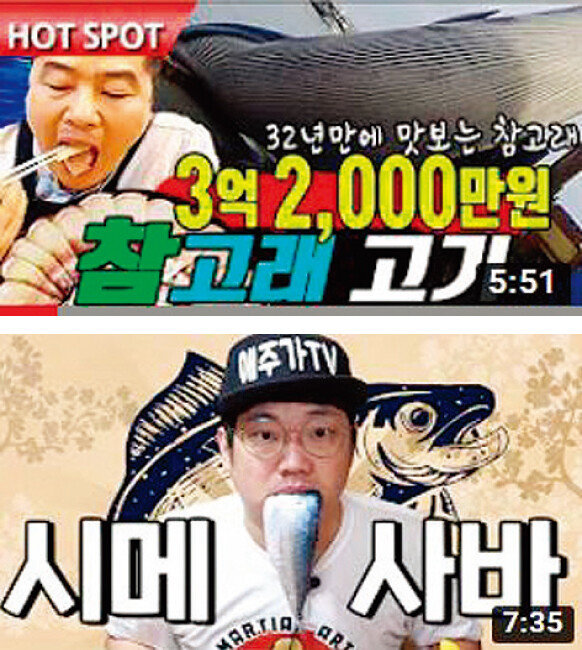 맛상무, 애주가TV참PD / 음식 관련 전문성이나 특별한 콘셉트로 레드오션인 먹방계에서도 선전하고 있는 맛상무(위)와 애주가TV참PD.