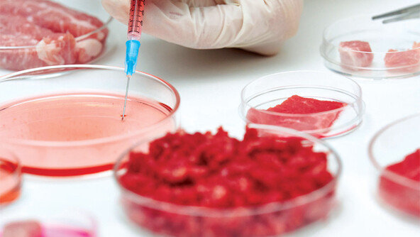 “피흘리는 음식은 끝”… 실험실에서 키우는 ‘배양육’으로 대체
