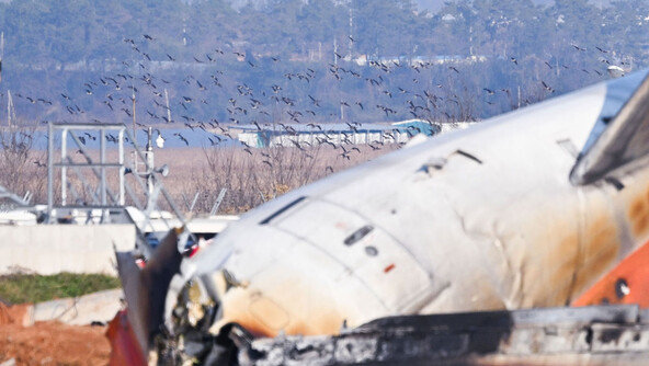 [단독]무안공항 조류충돌예방위 명단에 15년전 활동중단 단체도 버젓이