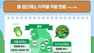 배추·양배추 가격 다음달부터 안정 전망…노지 재배면적 전년比 3~4%↑