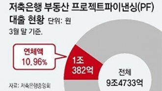 저축銀 부동산PF 부실채권 1조… 상위 20곳 연체율 11%대