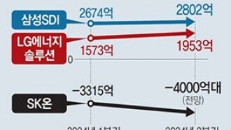 ‘전기차 직격탄’ 삼성SDI, ESS 호황 덕에 실적은 ‘선방’