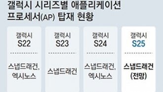 삼성 ‘AP 독립’ 지연… 갤럭시 S25에 ‘엑시노스’ 탑재 불투명