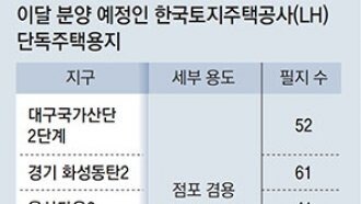 단독주택 짓고 싶다면 LH 토지 분양 관심 가질 만