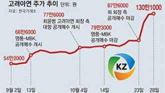 주도주 없는 증시, ‘경영권 분쟁’이 테마주로… 급등락 주의보