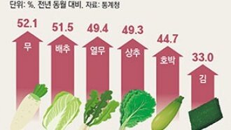 물가 45개월만에 최저폭 올라… 김장물가는 비상