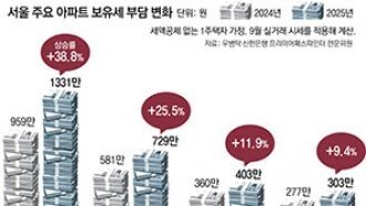 강남 보유세 최대 39%↑… 반래퍼 959만→1331만원