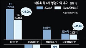 中 공급 과잉에… 석유화학 빅4 작년 성적도 ‘암울’