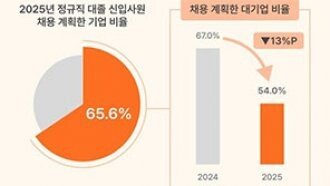 올해 취업시장도 ‘한파’…대기업 채용 규모 줄인다