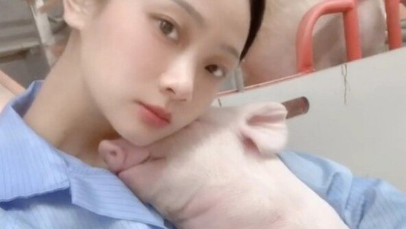 26살 中미녀, 직장 그만두고 돼지농장 선택한 이유는