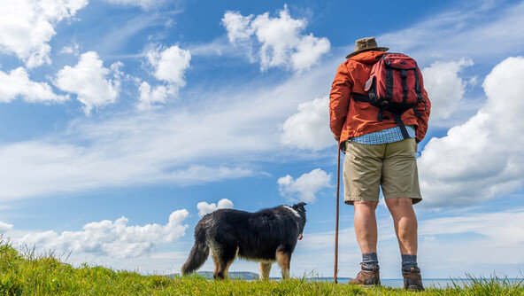 “주 2회·회당 20분”…‘치매 예방 최소 운동량’ 과학적 확인