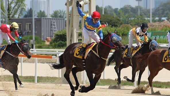굴착기 대신 말에 오른 청년 박태종, ‘2249승’ 전설  남기고 기수 생활 마무리 [데이터 비키니]