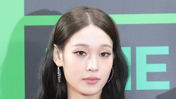 ‘신세계 손녀’ 애니, 아이돌 활동 잠시 멈춘다…무슨 일?