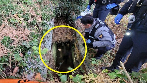 “살려주세요, 여기있어요” 5m 아래 배수로서 들린 목소리