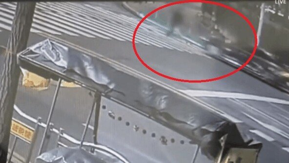 ‘면직’ 산림청장, 술 취해 무법질주…보행자 칠뻔, 車 2대 ‘쾅’