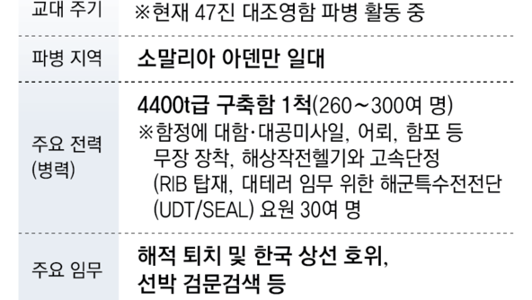 청해부대 또 호르무즈 파병 거론…“6년전보다 위험해 신중해야”