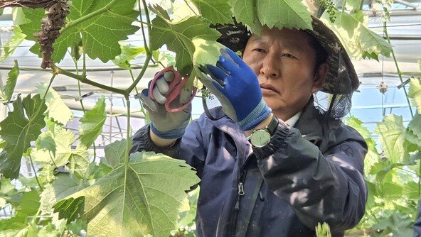 정청래 “하정우 부산출마 삼고초려…곧 공개 요청할 것”