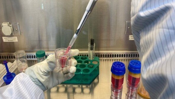 인공관절 늦춰주는 ‘이 주사’ 치료…“고령층에게도 효과”