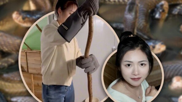“연 2억원 번다”…독사 6만마리 키우는 30대 대졸 여성