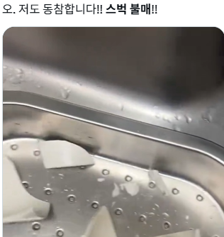 “스벅 텀블러 503㎖, 박근혜 수인번호…세월호 참사일도 탱크데이”