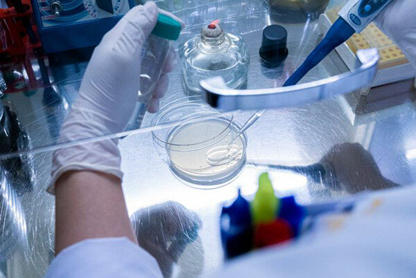 대봉엘에스는 매출액의 5%를 연구개발(R&D)에 투입하고 있다. [대봉엘에스 제공]