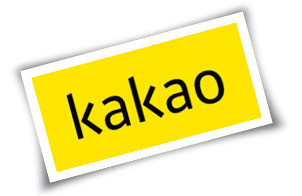 [카카오 제공]