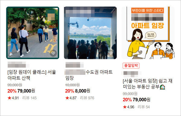 한 인터넷 포털 스토어에 올라온 임장 클래스 상품. [네이버 스토어 캡처]