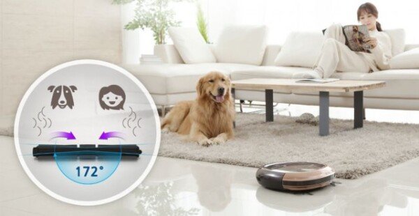 반려동물 인구 1000만 시대, 이런 IT/가전제품이 필요하다. - 뉴스 썸네일 이미지