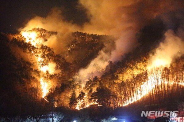 Drying alarm Yangyangseo forest fire…  Firefighting Response Phase 2 issued